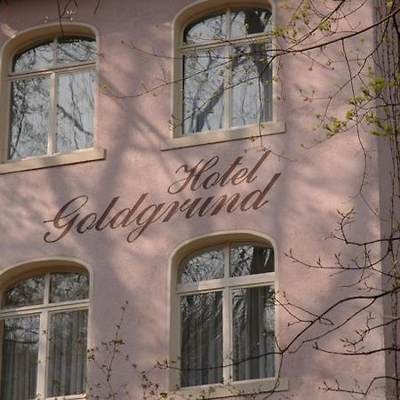 Hotel Goldgrund Майсен Номер фото